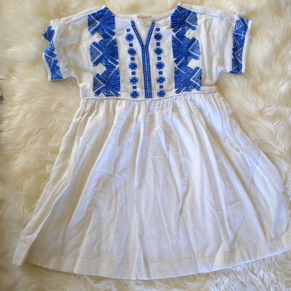 J crew embroidered big girls dress